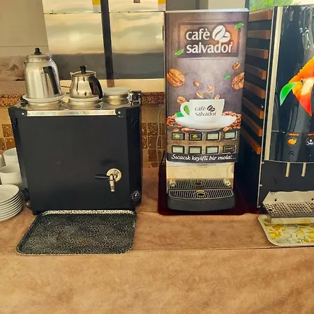 Celeste فتحية